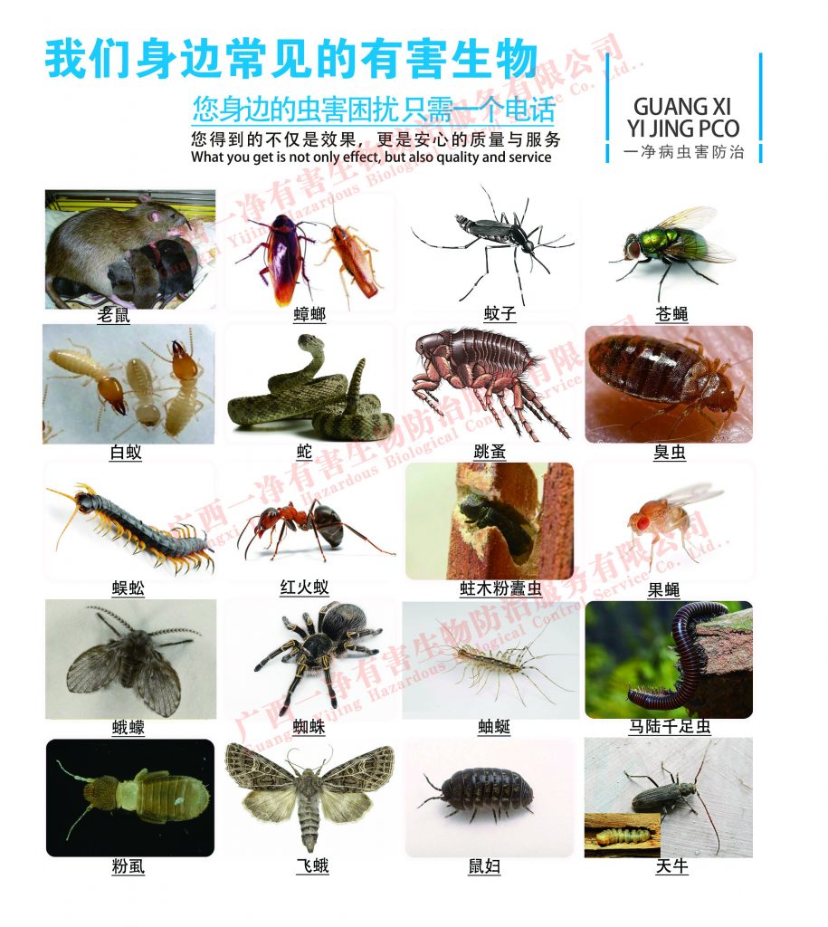 灭蟑螂公司