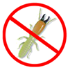 白蚁防治